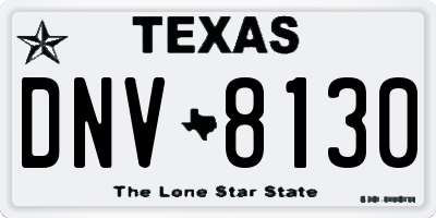 TX license plate DNV8130