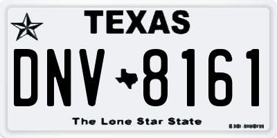 TX license plate DNV8161