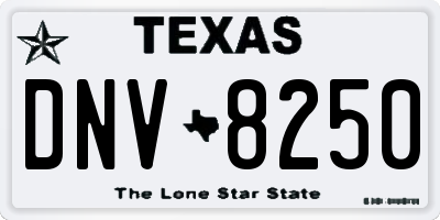 TX license plate DNV8250