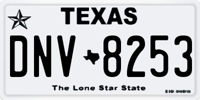 TX license plate DNV8253