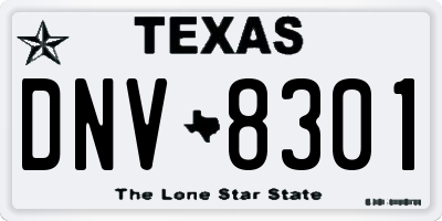 TX license plate DNV8301