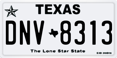 TX license plate DNV8313