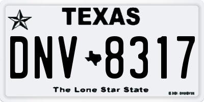 TX license plate DNV8317