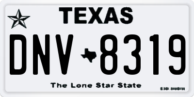 TX license plate DNV8319