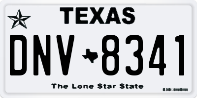TX license plate DNV8341