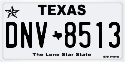 TX license plate DNV8513
