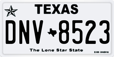 TX license plate DNV8523