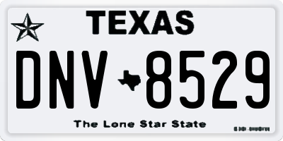 TX license plate DNV8529