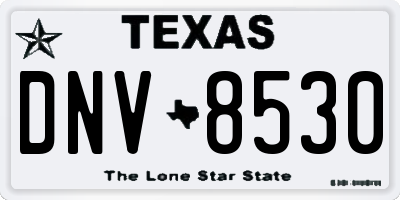 TX license plate DNV8530