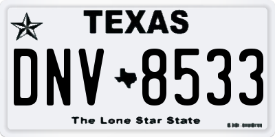 TX license plate DNV8533