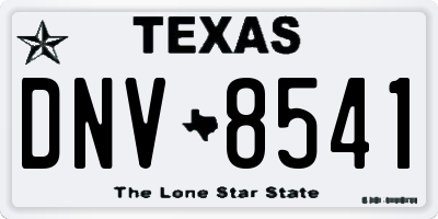 TX license plate DNV8541