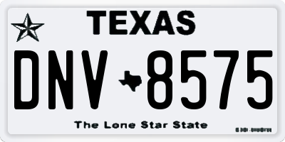 TX license plate DNV8575