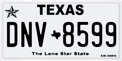 TX license plate DNV8599