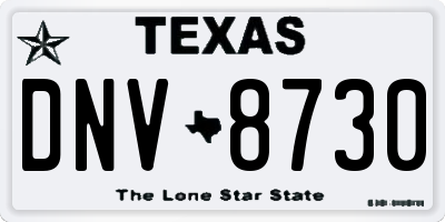 TX license plate DNV8730