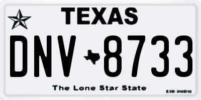 TX license plate DNV8733