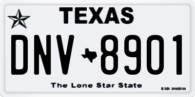 TX license plate DNV8901
