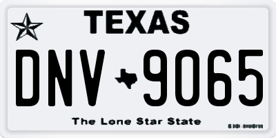 TX license plate DNV9065