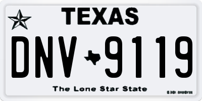 TX license plate DNV9119