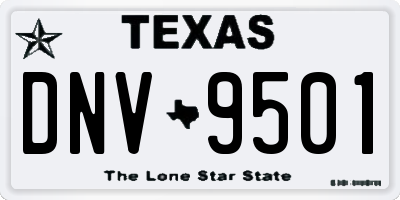 TX license plate DNV9501