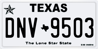 TX license plate DNV9503
