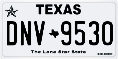 TX license plate DNV9530