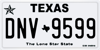 TX license plate DNV9599