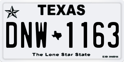 TX license plate DNW1163