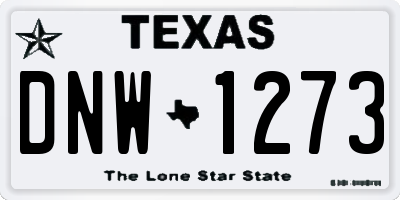 TX license plate DNW1273