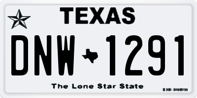 TX license plate DNW1291