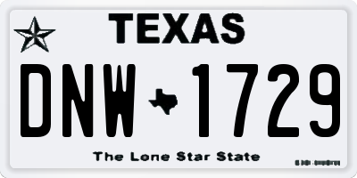 TX license plate DNW1729