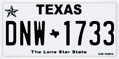 TX license plate DNW1733