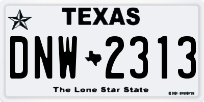 TX license plate DNW2313