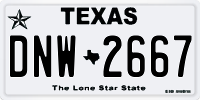 TX license plate DNW2667