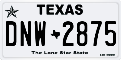 TX license plate DNW2875
