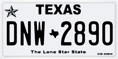 TX license plate DNW2890