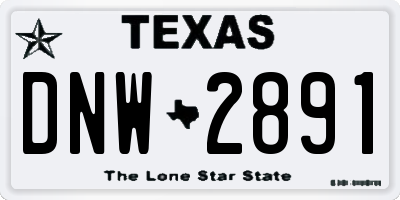 TX license plate DNW2891