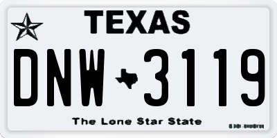 TX license plate DNW3119
