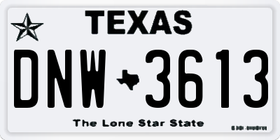 TX license plate DNW3613
