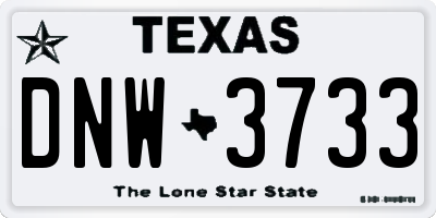 TX license plate DNW3733