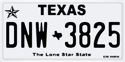 TX license plate DNW3825
