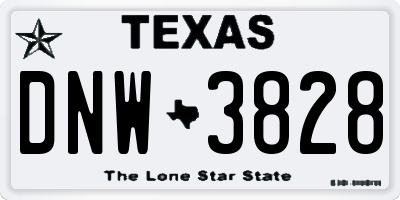 TX license plate DNW3828