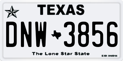 TX license plate DNW3856