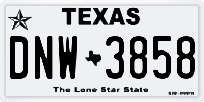 TX license plate DNW3858