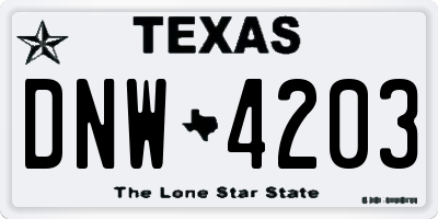 TX license plate DNW4203