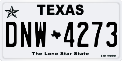 TX license plate DNW4273