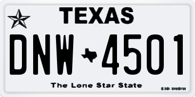 TX license plate DNW4501
