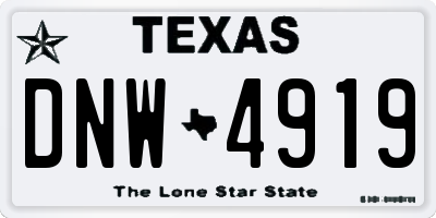 TX license plate DNW4919