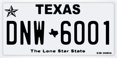 TX license plate DNW6001