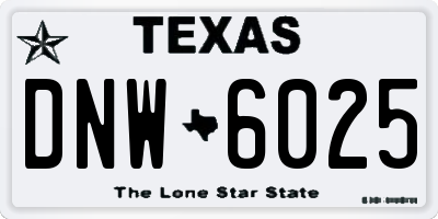 TX license plate DNW6025