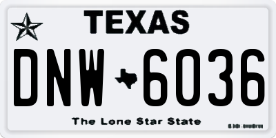 TX license plate DNW6036